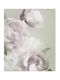 Digital Print Roller Blinds E449 Width 120cm Height 100cm
