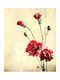 Ρόλερ Digital Print E431 Φ120xυ180