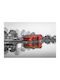 Digital Print Rollos E243 Breite 100 Höhe 100