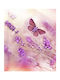 Ρόλερ Digital Print E181 Φ160xυ200