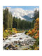 Ρόλερ Digital Print E225 Φ100xυ100