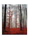Ρόλερ Digital Print E216 Φ100xυ160