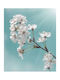 Ρόλερ Digital Print E184 Φ140xυ220
