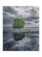 Ρόλερ Digital Print E405 Φ140xυ220