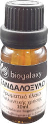 Sandalwood Aromatic Oil 10ml