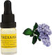 Ulei Aromatic Liliac 10ml