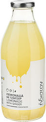 Ήδιστον Λεμονάδα Τζίντζερ & Stevia 750ml~10 Ποτήρια Υπέροχου Σπιτικού Αναψυκτικού Προϊόν Αραίωσης