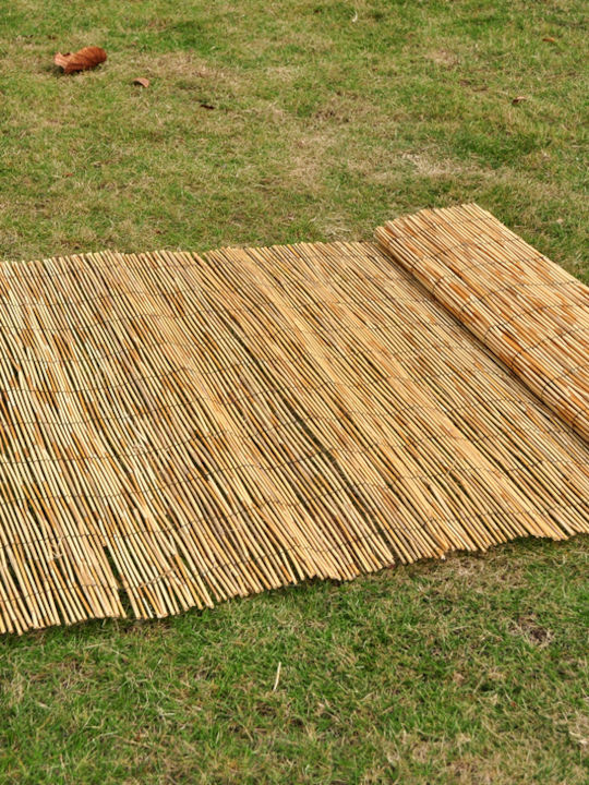 Jardi Каламоти с Целият Рийд 2x5m