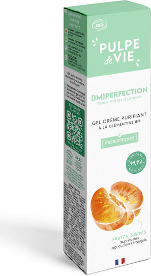 Pulpe De Vie Imperfection 24h Cream Face Day 40ml