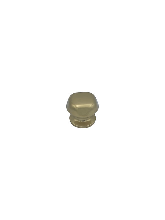 Saguatti Knob Front Door Polished Bronze