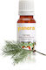 Pine Essential Oil 50 Ml