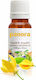 Ylang-Ylang Cananga Ätherisches Öl 30 Ml