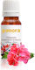 Geranium Or Pelargonium Aromatic Oil 50 Ml