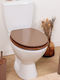 Plastic Toilet Seat Brown 37.5cm