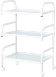 Beauty Roll Hair Salon Maintenance Cart