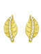Silver 925 Earrings