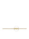 Gold Kette Kette N2 40cm