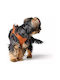 Δερμάτινο Σαμαράκι Hunter Harness Geschirr Hilo 33-37/xs Orange