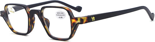 Cammello Reading Glasses +3.75 in Brown color