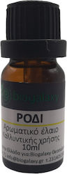 Pomegranate Aromatic Oil 10ml Pomegranate Aromatic Oil 10ml