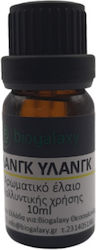 Ylang-ylang Aromatic Oil 10ml Ylang-ylang Aromatic Oil 10ml