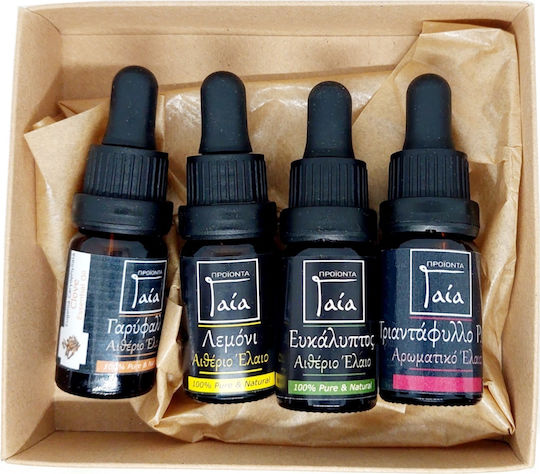 Gaea Kit Set 4 Ätherische Öle Regain Geruchssinn 5ml