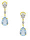 Victoria Cruz Brave Silver 925° Swarovski Earrings