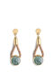 Apoxylo Earrings