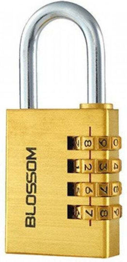 Blossom Bronze Padlock Brass with Key 1pcs