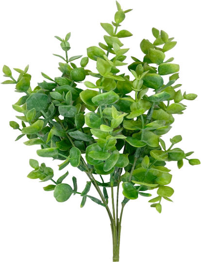 Buchet Eucaliptus 33cm Verde