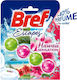 Toilet Block Power Active Hawaii Bref Wc Block 50g