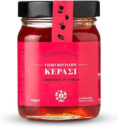 Myrovolos Chios Kirschen Löffelsüßigkeit 450g