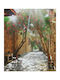Digital Print Rollos E540 Breite 100xHöhe 120