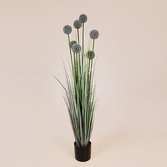 Grass Plant Allium Potted Plastic 140cm