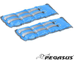 Pegasus Βαράκια Άκρων 2 x 1.5kg