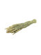 Dried Wheat Spike Flower Triticum 200gr Natural