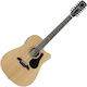 Alvarez Artist Ad6012ce Dreadnought 12-струнна ...
