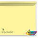 Superior Background Paper 78 Sunshine 2.72 X 11m