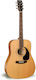 Semi-Akustik Gitarre Simon Patrick Cs20058 S P Cedar B-band G4