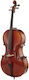 Gewa Maestro 2 Cello Set 1/2 Mb
