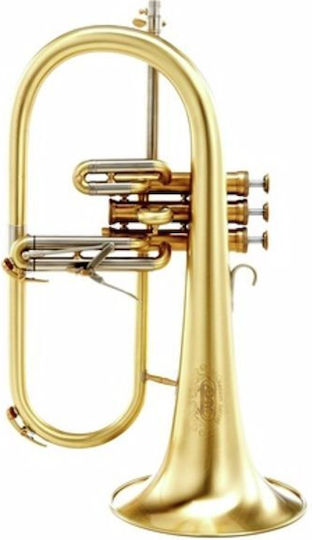 Adams F1 M Custom 050 170 Sl
