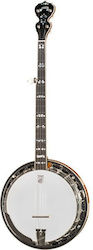 Deering C-5 Calico Verschiedene Musikinstrumente