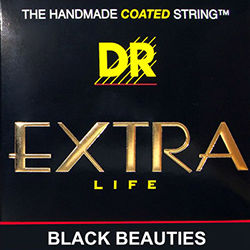 DR Beauties DR Beauties