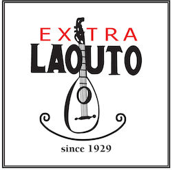 Extra Laute Einzel Saite 0 14''