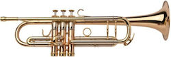Adams A7 Gold Messing 0,40 Ausgewählt L