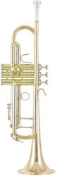 B&s 3137 G-l Challenger I Gm