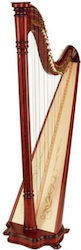 Salvimar Ana 34 Strings