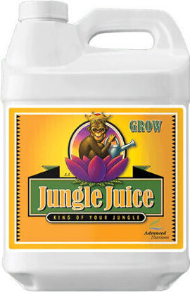 Advanced Nutrients Υγρό Λίπασμα Καλίου, Σιδήρου για Ανθοφόρα Φυτά 1lt