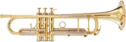 Adams Sonic Trompete Goldlack
