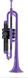 Ptrumpet Trompete Violett